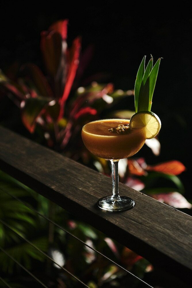 Hotel Daintree Eco Lodge & Spa