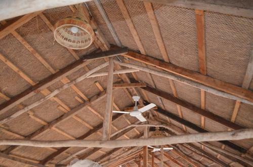 Le Bonobo Lodge