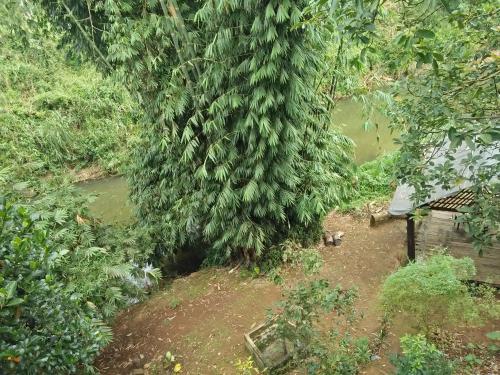 Hostal River Side Guest House & Travels