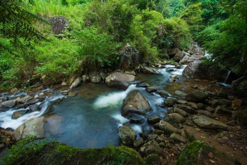 Ramboda Falls Hotel