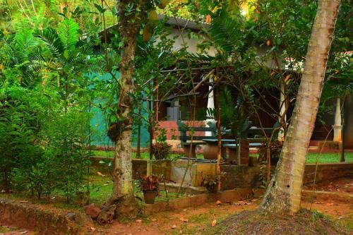 Hostal Leesa Villa Safari Resort