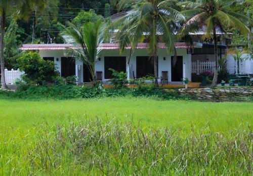 Hotel Paddy Field View Resort