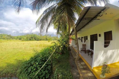 Hotel Paddy Field View Resort