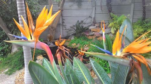 Apartamento Protea Retreat
