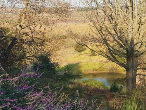 Hostal Little Fields Country House And Cottages