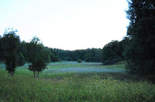 Tribbhult