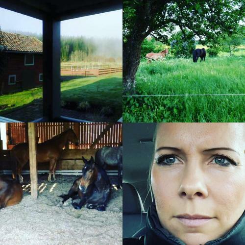 Bj�rkeryd S�derg�rd Bed & Stable