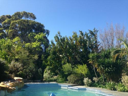 Constantia Oasis