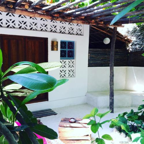 Hostal Zanzistar Guesthouse & Restaurant