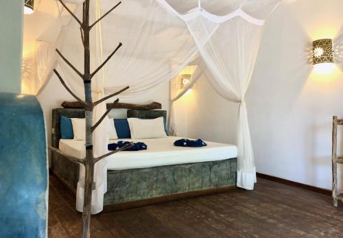Hostal Zanzistar Guesthouse & Restaurant