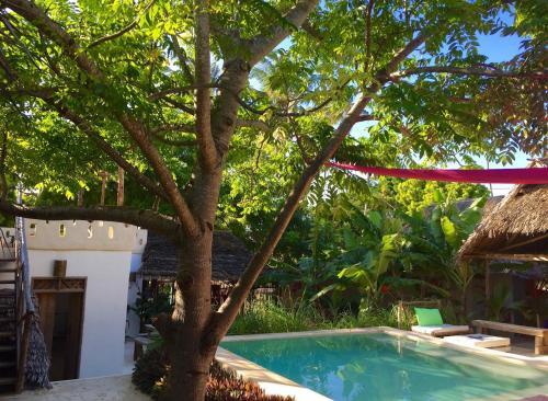 Hostal Zanzistar Guesthouse & Restaurant