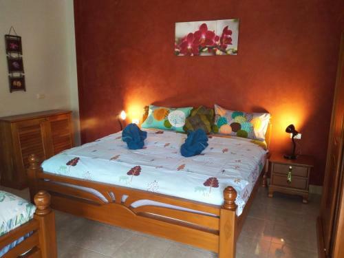 Posada Nananuira Apartment And Room