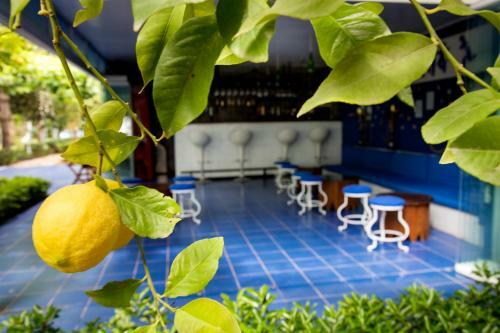 Blue & White Hotel