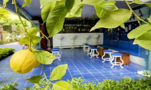 Blue & White Hotel