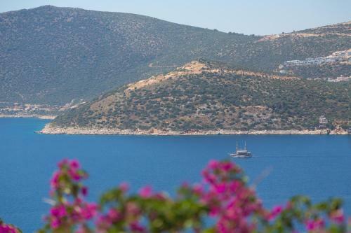 Villa Kiki
