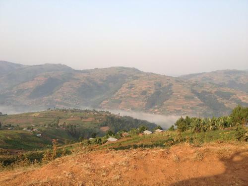 Silverback Homestay And Guest House