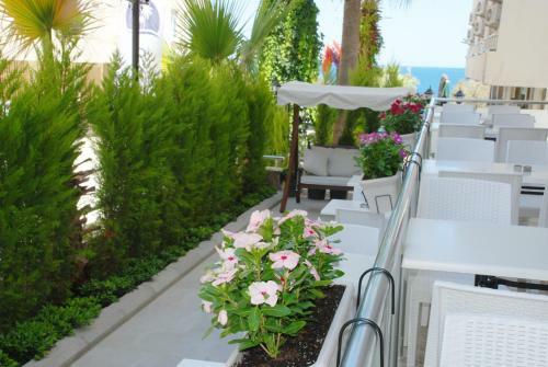 Hotel Palm Beach Otel