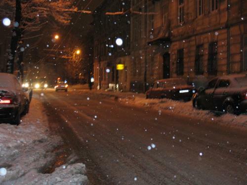 Apartamento Flat On Sheptytskykh
