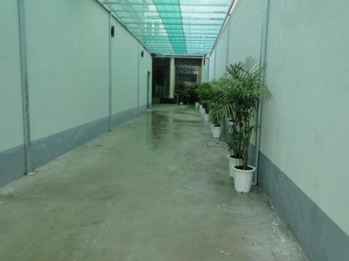 Hostal Manh Phat Guesthouse