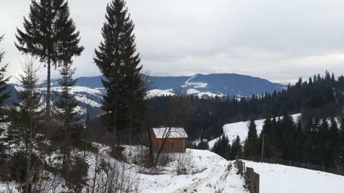 Lodge Vyshche Za Hmary
