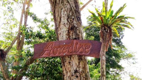 Aoredise