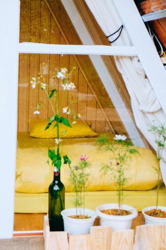 Bed & Breakfast Vanda Garden Hill