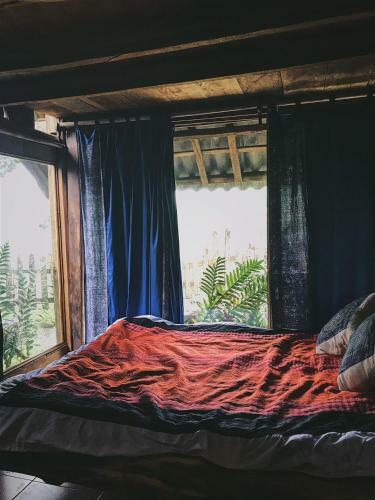 Hostal Sali House