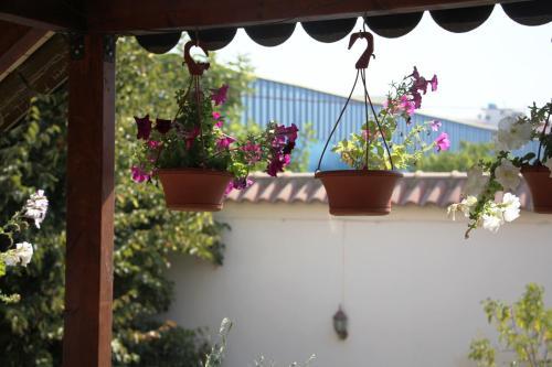 Bed & Breakfast Villa Orion