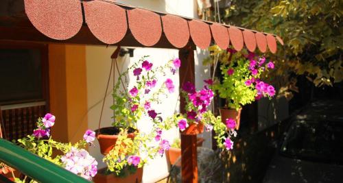 Bed & Breakfast Villa Orion