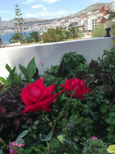 Apartamentos Villa Erdeti