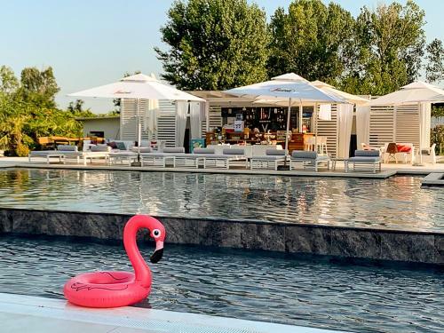 Aparthotel Hotel Bora Bora Velipoja
