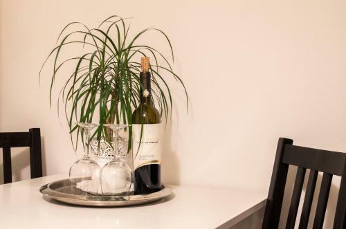 Tasca Im Feui Apartments