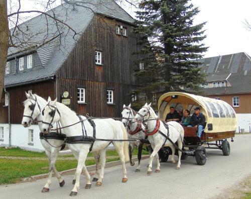Hostal Waldgasthof Bad Einsiedel