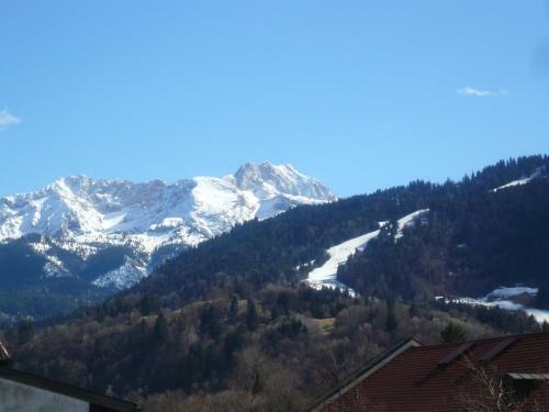 Apartments Alte Villa