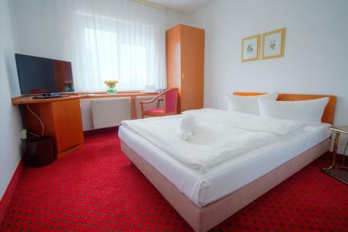 Hostal Hotel Papilio