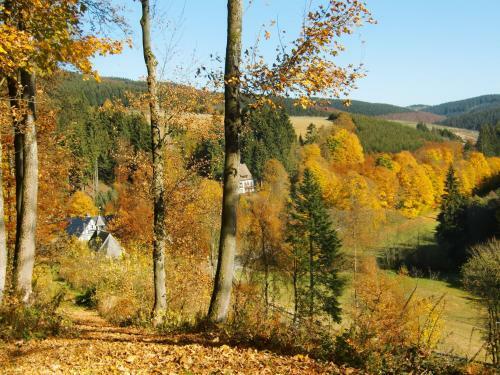 Hotel Gasthof Braun