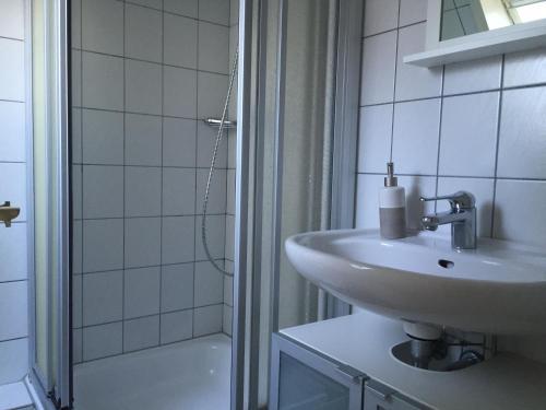 Apartment Theodor-storm