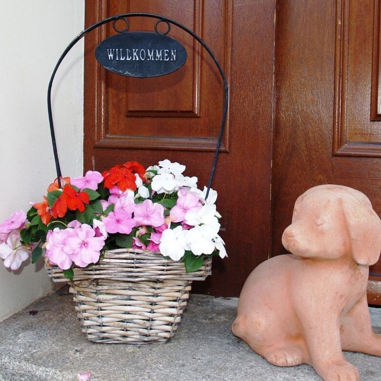 Hostal Pension Helvetia