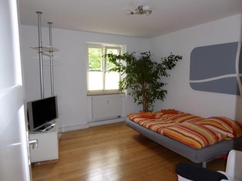 Apartment Zweite Heimat Freiburg