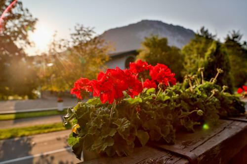 Hostal Pension Rauschberghof