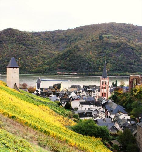 Apartamentos Ferienwohnungen-in-bacharach