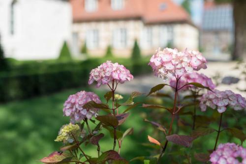 Apartamento Schloss Beuchow