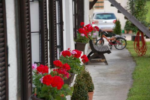 Hostal Pension Lex