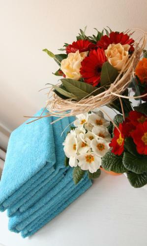 Hostal Pension Alba