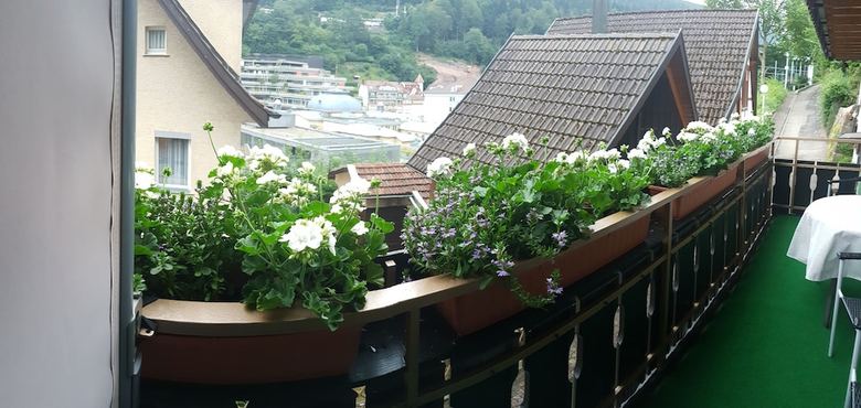 Hostal Pension Silberburg Bad Wildbad