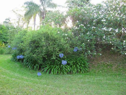Bed & Breakfast La Soleada Alojamientos