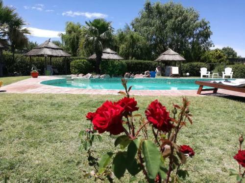 Lodge Establecimiento Rural El Cha�ar
