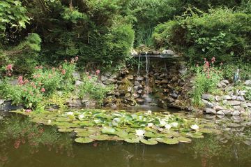 Best Western Webbington Hotel