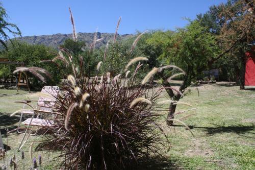 Lodge Los Ribazos