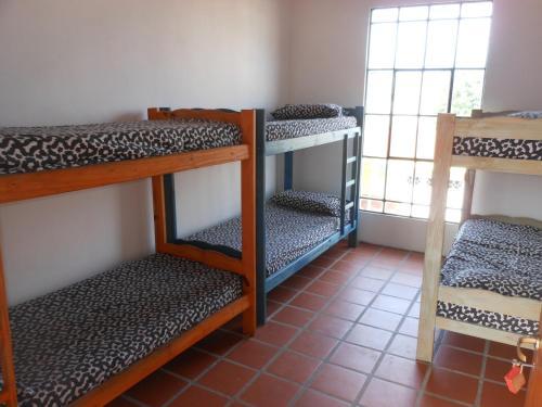 Hostal Hostel Buddha